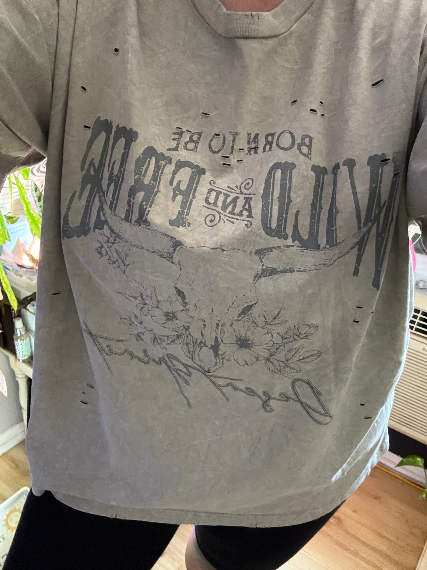Wild & Free Desert Vintage Graphic Tee